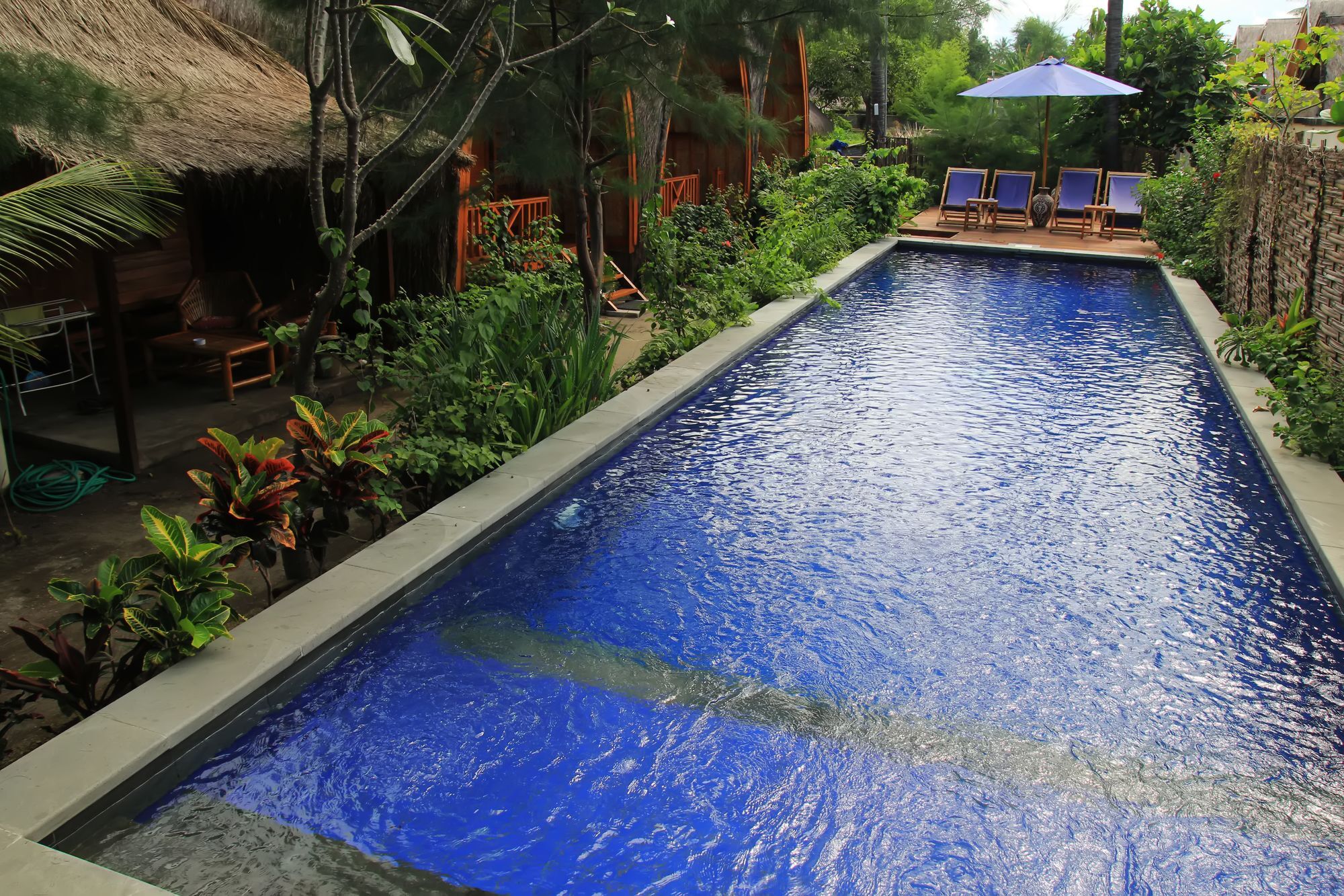 Damai Bungalows غيلي آير المظهر الخارجي الصورة