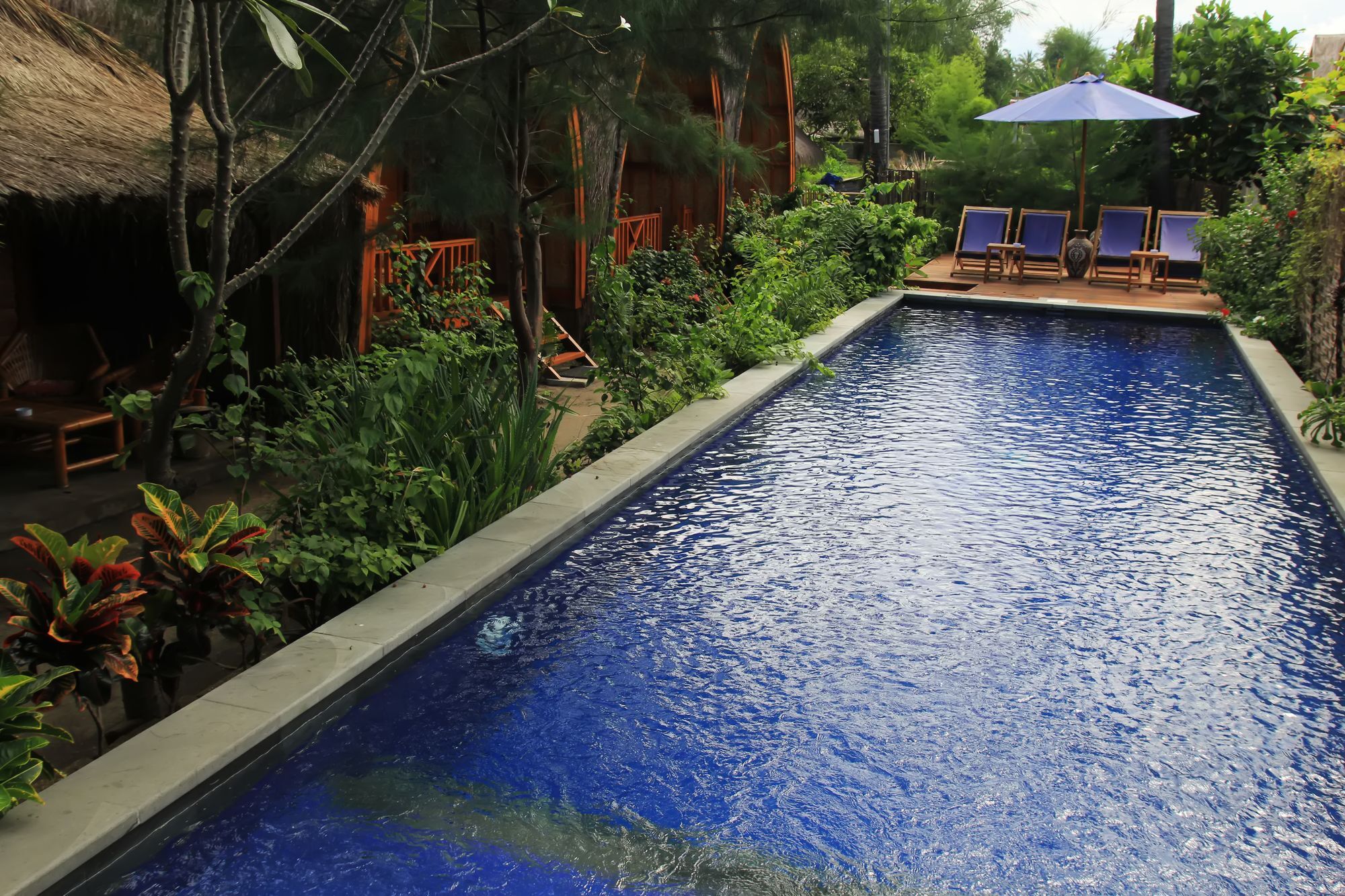 Damai Bungalows غيلي آير المظهر الخارجي الصورة